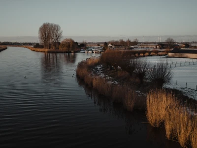 Along the Mark