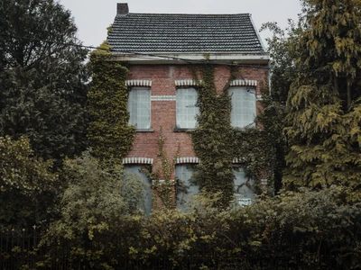 Doel