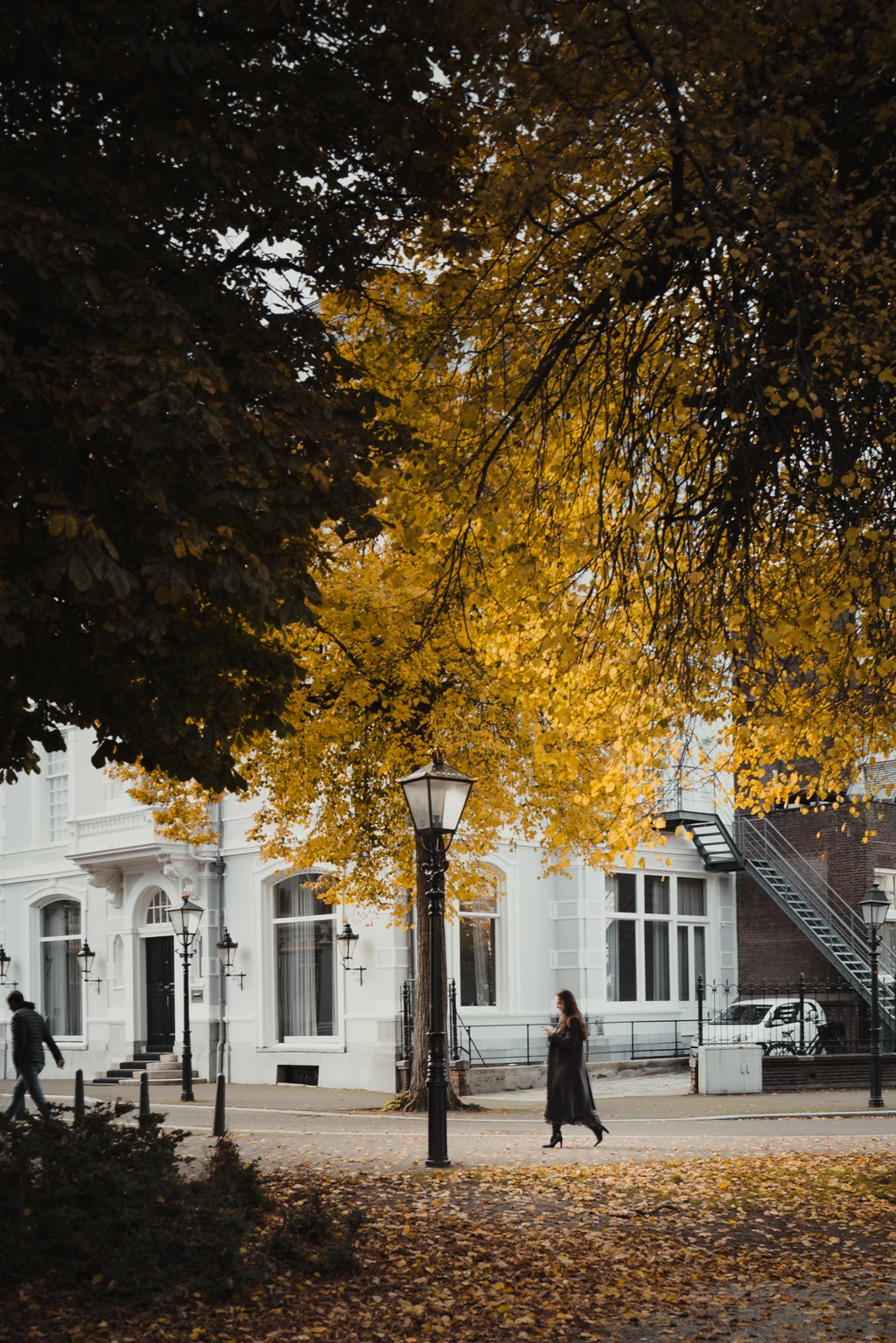 Den Haag Fall