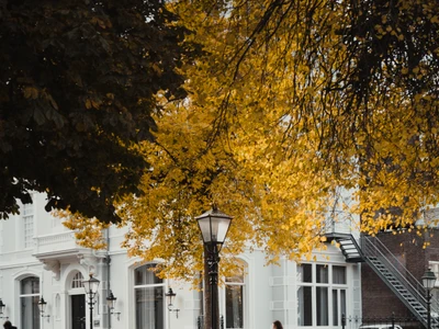 Den Haag Fall