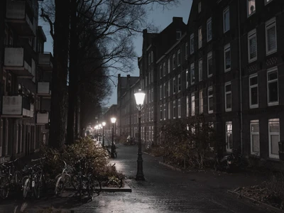 AMS Light Posts