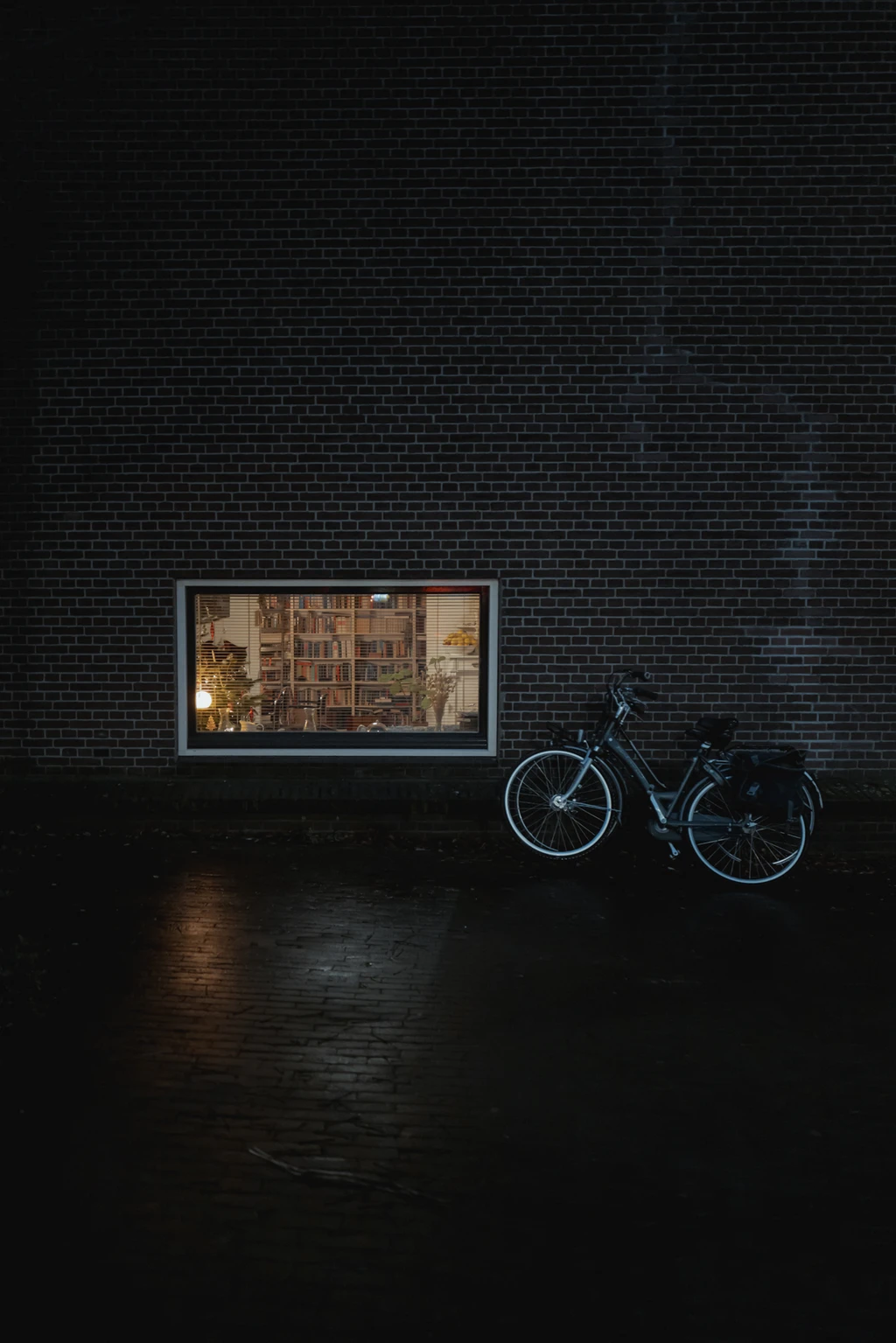 AMS Bicycle
