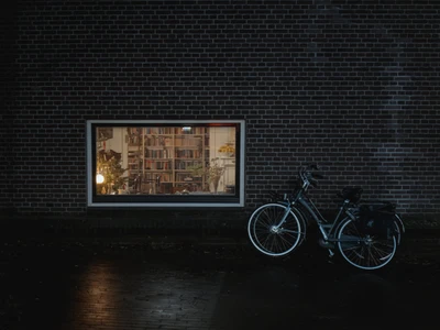 AMS Bicycle